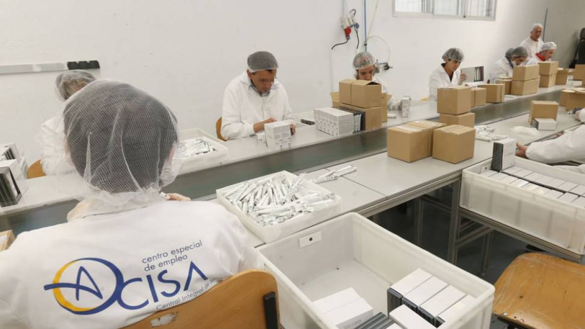 Operarios del Centro Especial de Empleo Cisa en plena faena.-ISRAEL L. MURILLO