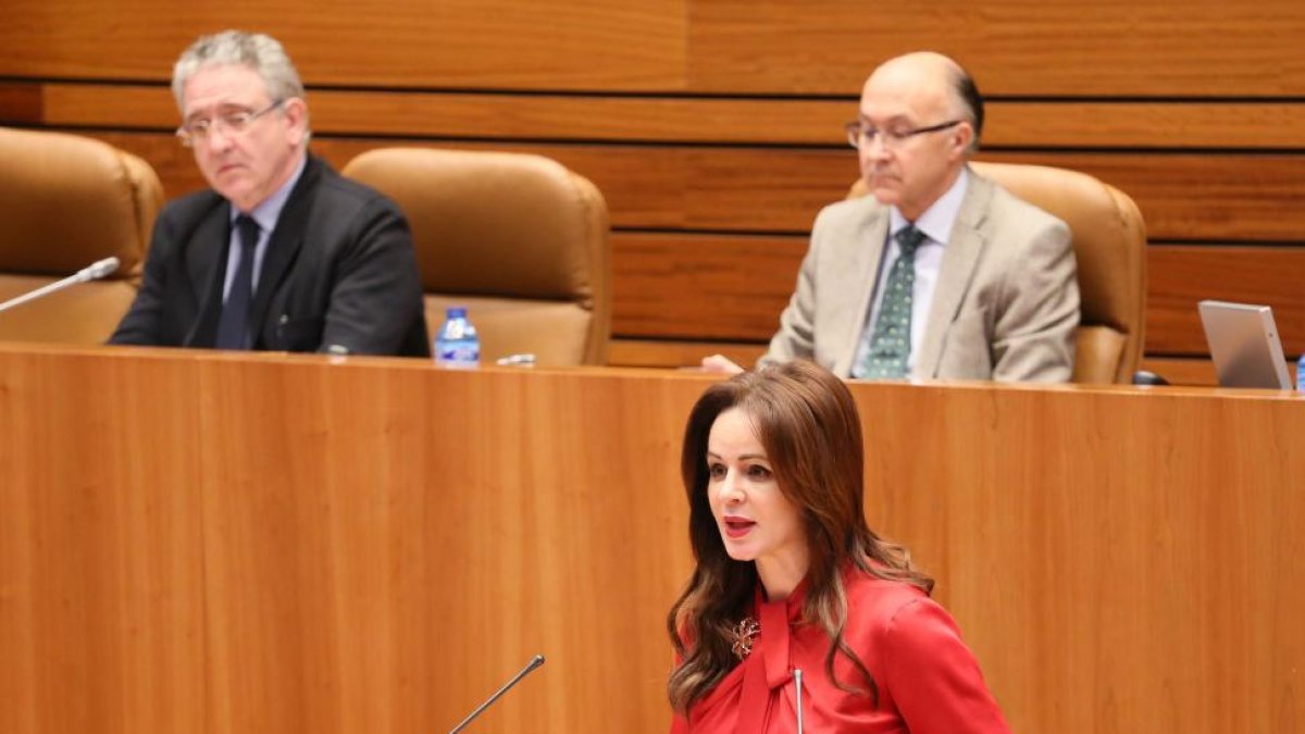 La presidenta de las Cortes, Silvia Clemente abre el turno de lectura del Estatuto.-ICAL
