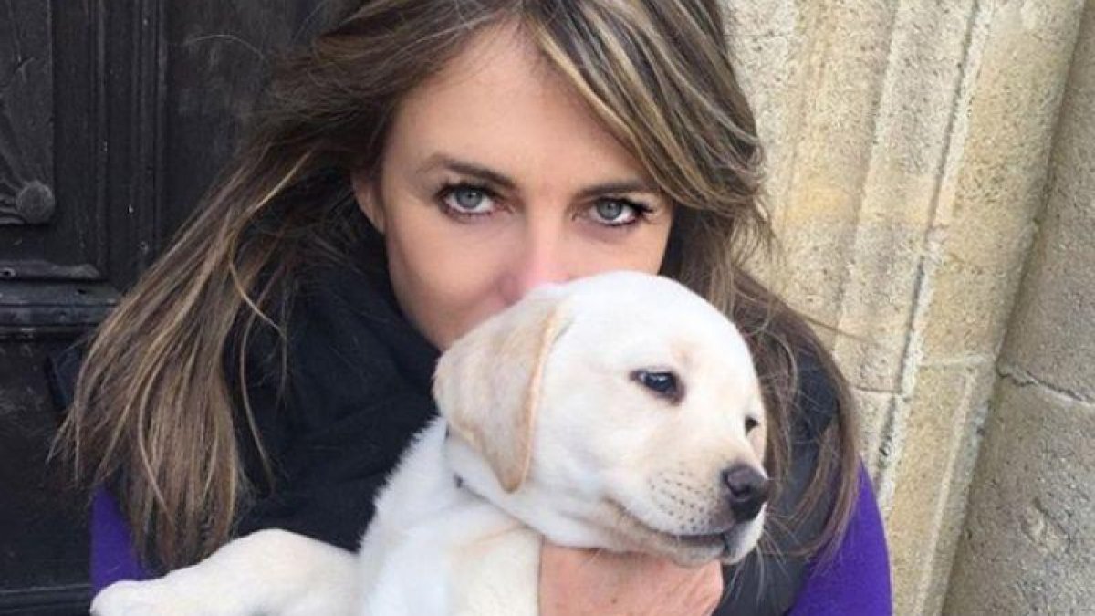Liz Hurley con su labrador, Hector.-INSTAGRAM