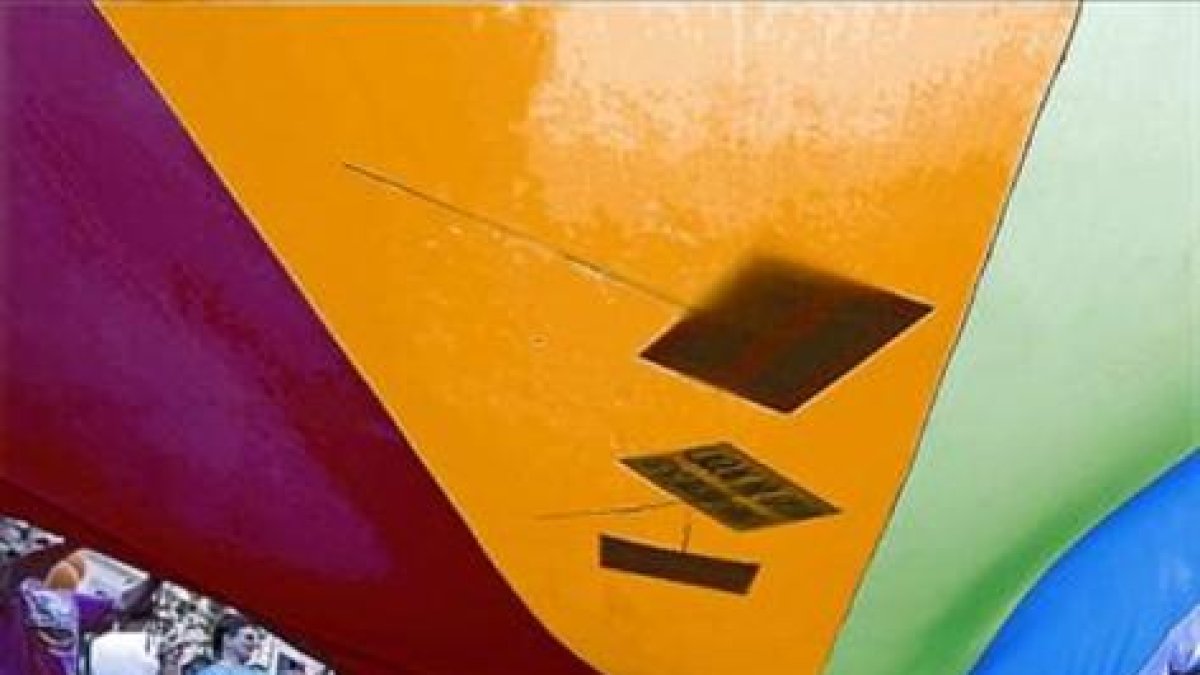 Manifestación por los derechos de los homosexuales.-EFE / Alberto Estévez