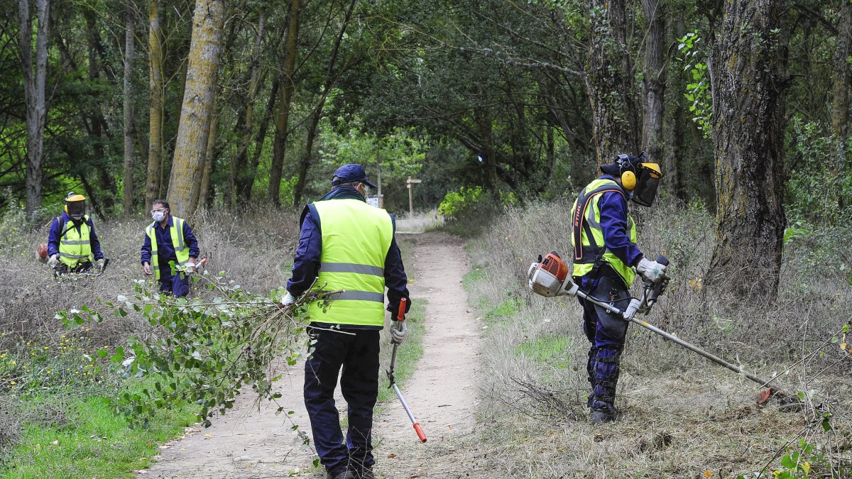Un grupo de trabajadores arregla el acceso al Humedal. ISRAEL L. MURILLO
