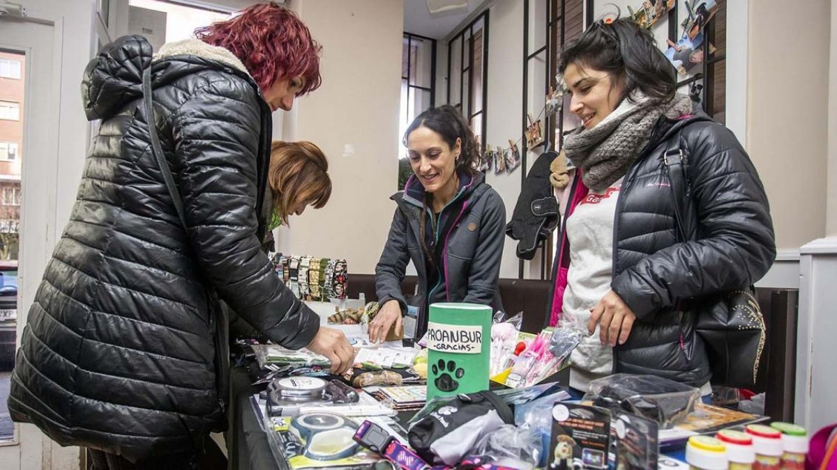 Proanbur organizó ayer, en la cafetería Invernalia, un mercadillo solidario para recaudar fondos destinados al tratamiento veterinario de los perros rescatados.-SANTI OTERO