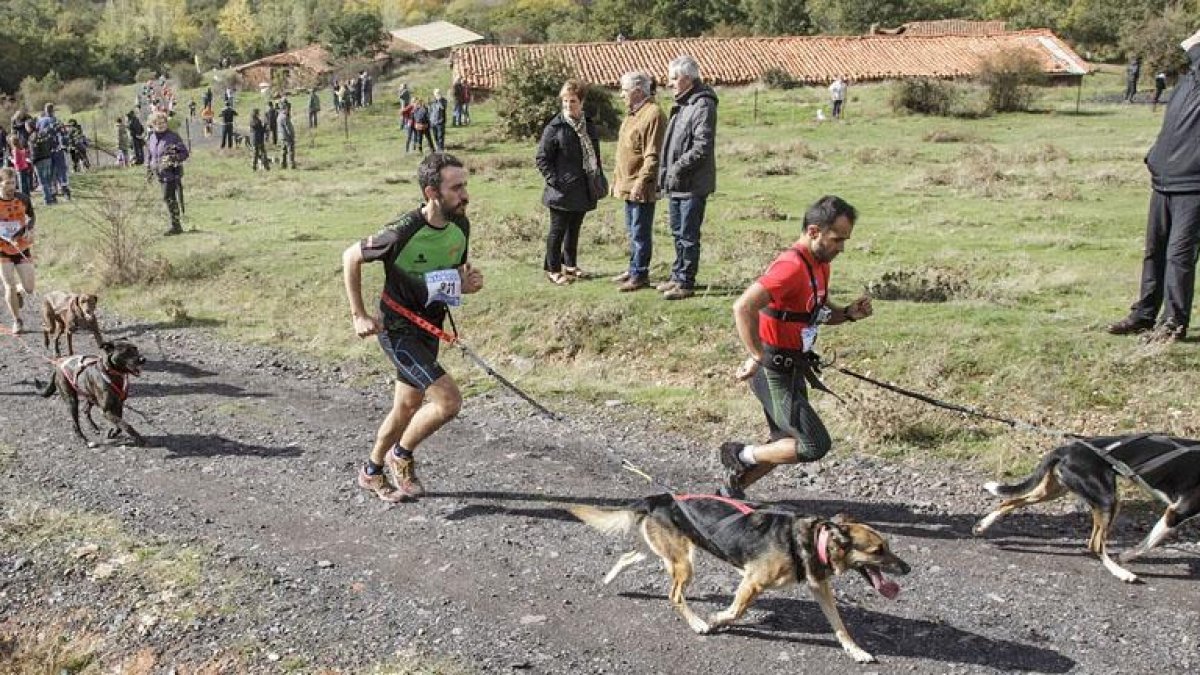 El circuito del Sendero Minero volverá a acoger una prueba de mushing.-SANTI OTERO