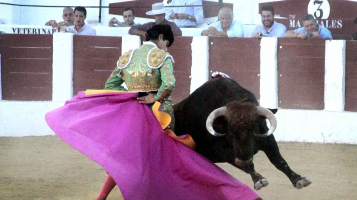 Luis David Adame toreó ayer en huerta del Rey .-ECB