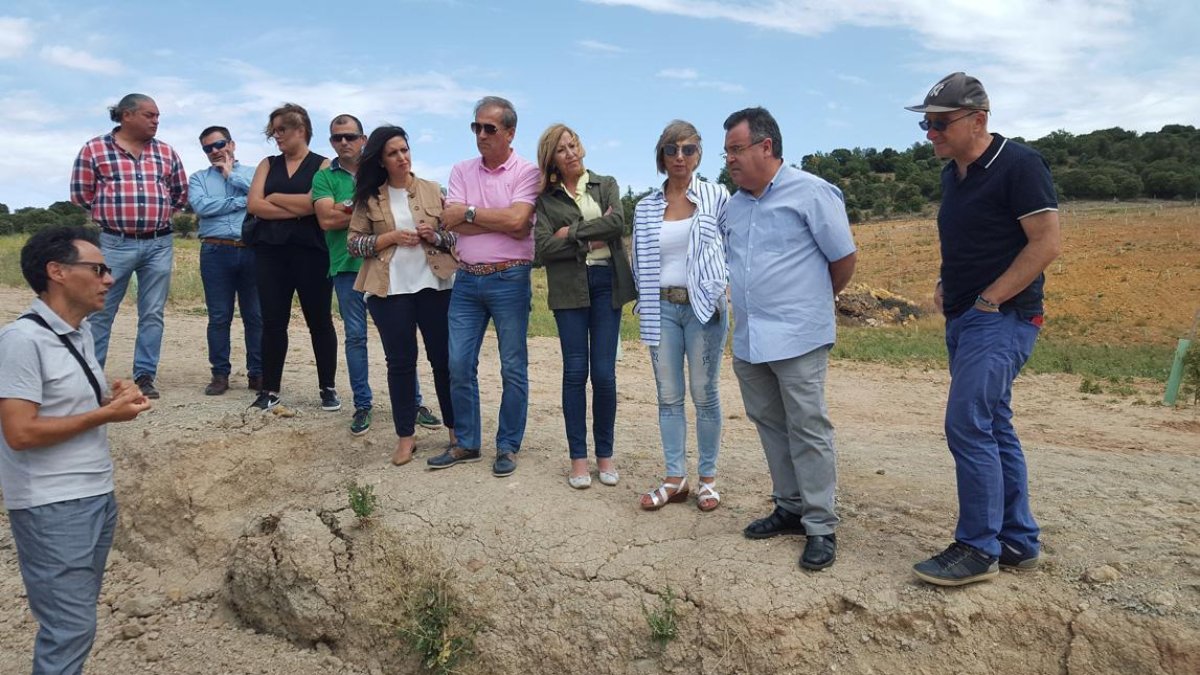 Torcida explica sobre el terreno las campañas de excavaciones en Torrelara a los cargos públicos socialistas.-ECB