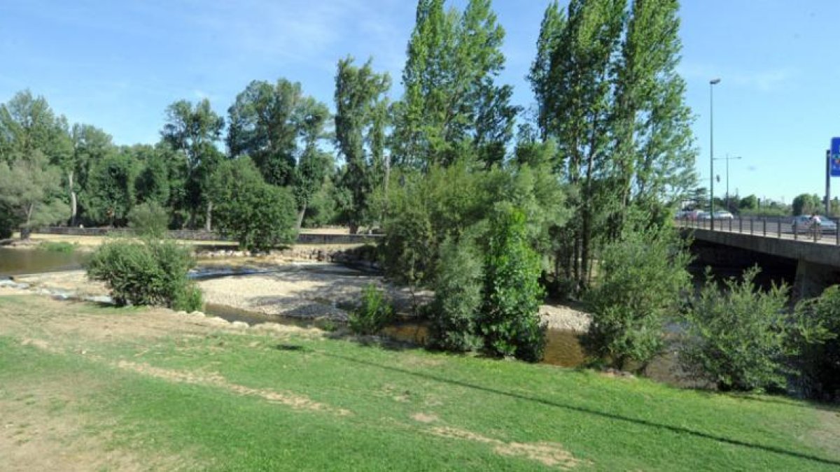 Imagen del parque de La Quinta, cerca de la plaza del Rey, una de las zonas en las que se basará la redacción del plan.-ISRAEL L. MURILLO