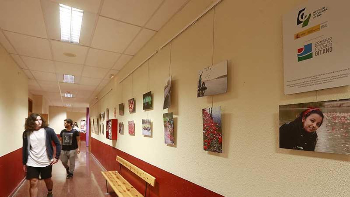Los pasillos de la Facultad de Educación albergan una exposición sobre el pueblo gitano hasta el 1 de diciembre.-Raúl Ochoa
