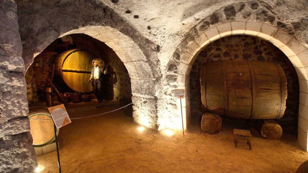 El turismo enológico y bodeguero permite que las casas rurales de la Ribera del Duero mejoren en actividad.-ECB