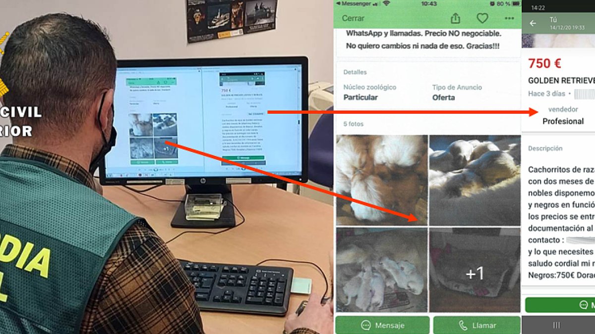 Hay dos personas detenidas por los delitos de estafa en la venta de un perro. ECB