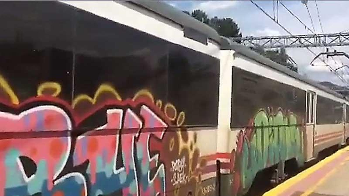 Imagen extraída de uno de los vídeos en los que se aprecian los desperfectos causados con las pintadas.-CNP