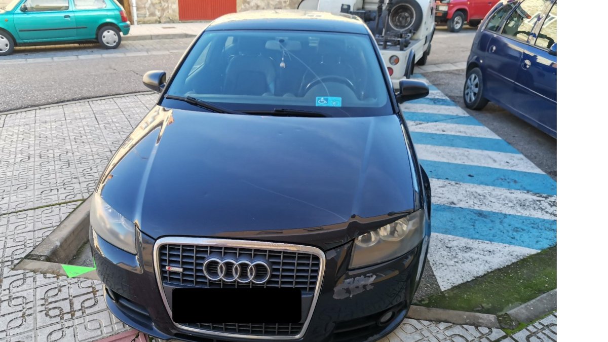 Suman más de 200 casos en los últimos tres años. POLICÍA LOCAL