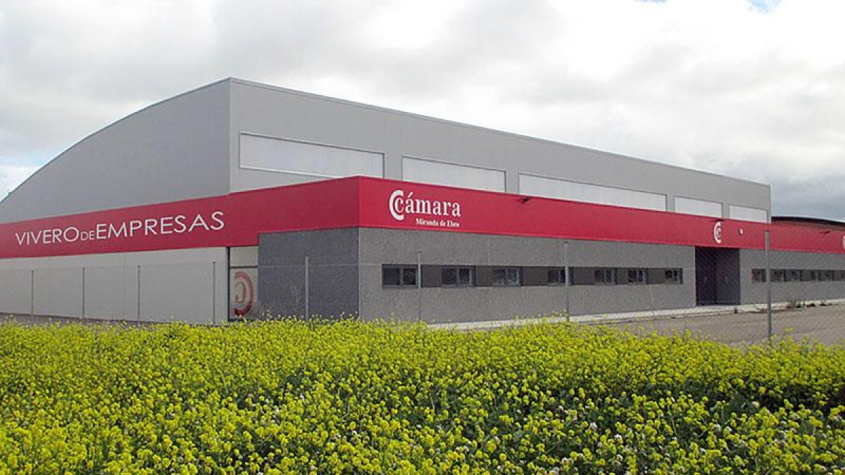 La Cámara mirandesa ofrece de forma paralela, asesoramiento y tutorías a los emprendedores.-E. M.