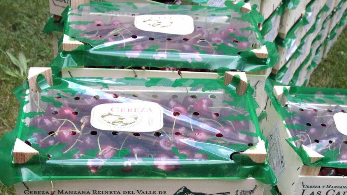 El etiquetado permite al consumidor adquirir con seguridad las cerezas.-G. G.