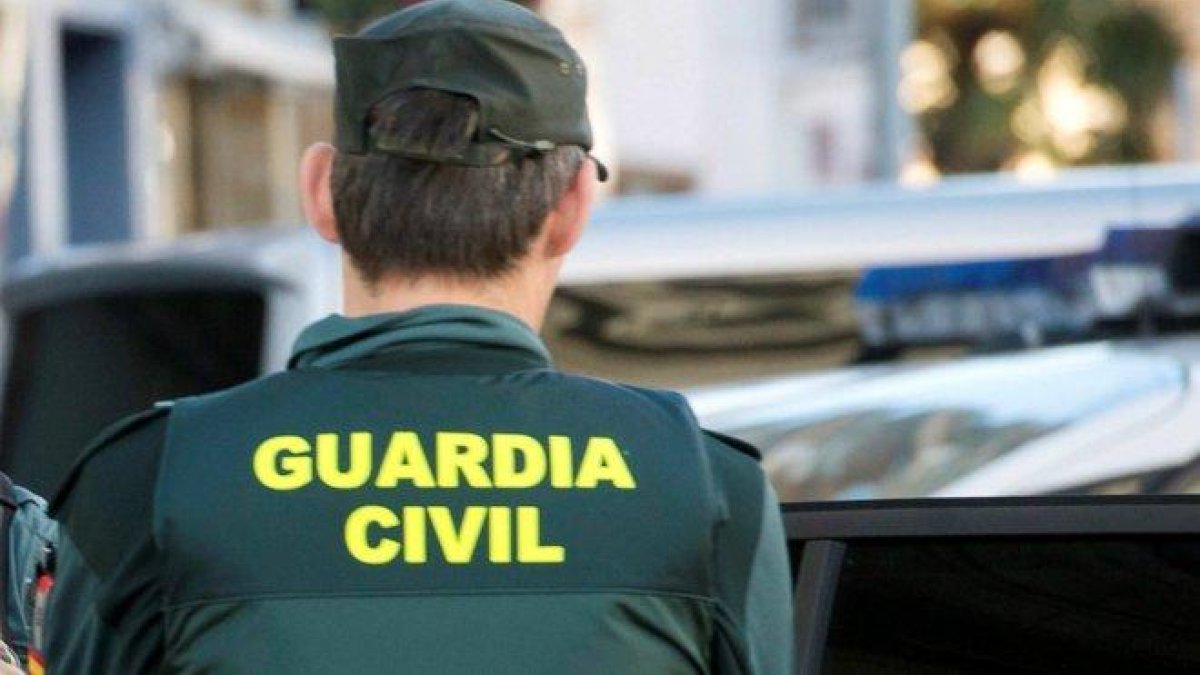 UPA hace un llamamiento a la Guardia Civil para que investigue el robo de 150 lechazos y 50 ovejas. ECB