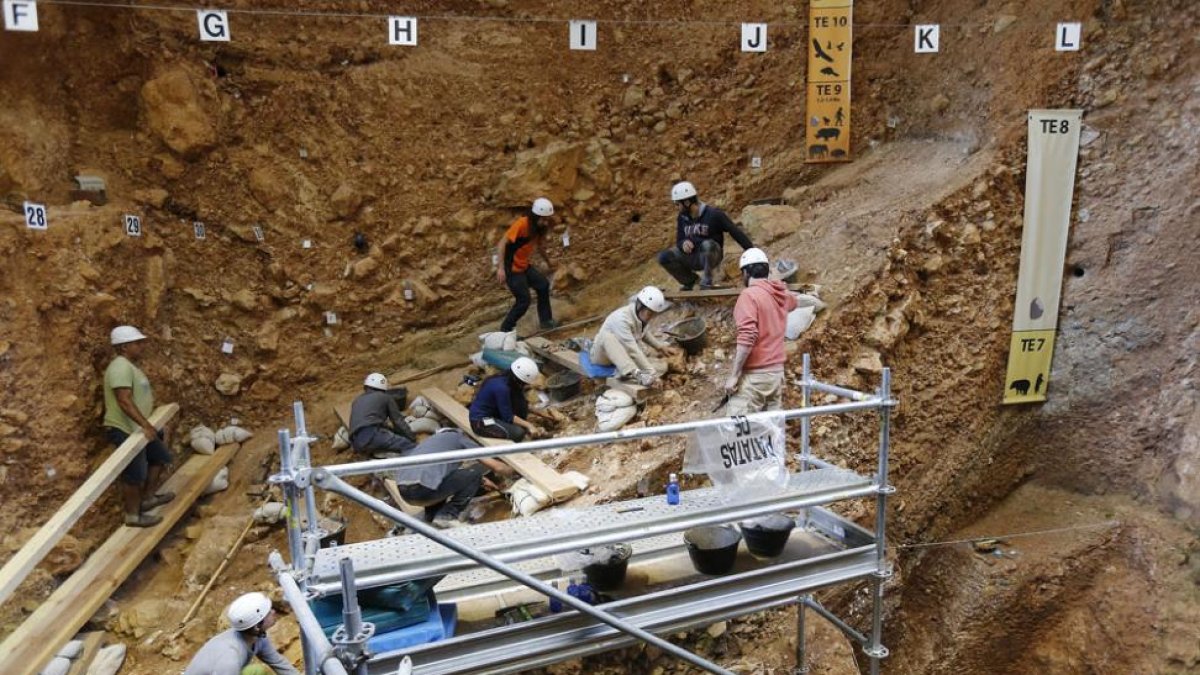 Un grupo de investigadores excavando en el yacimiento de la Sima del Elefante. .-RAÚL G. OCHOA