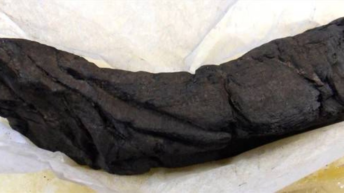 Manuscrito sepultado bajo la lava del Vesubio, en las ruinas de Herculano.-Foto: D. DELATTRE / BIBLIOTHÈQUE DE L'INSTITUT DE FRANCE