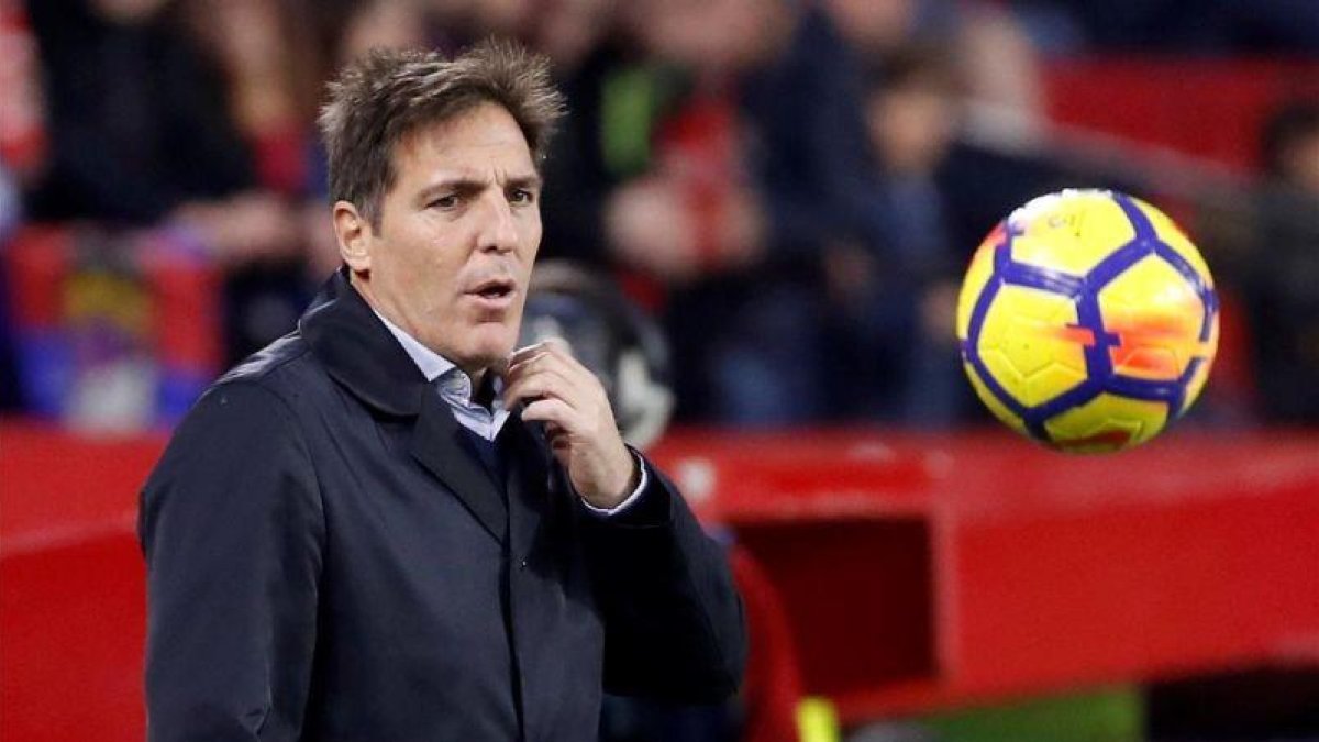 Eduardo Berizzo, en el Pizjuán durante el Sevilla-Levante.-EFE / JULIO MUÑOZ