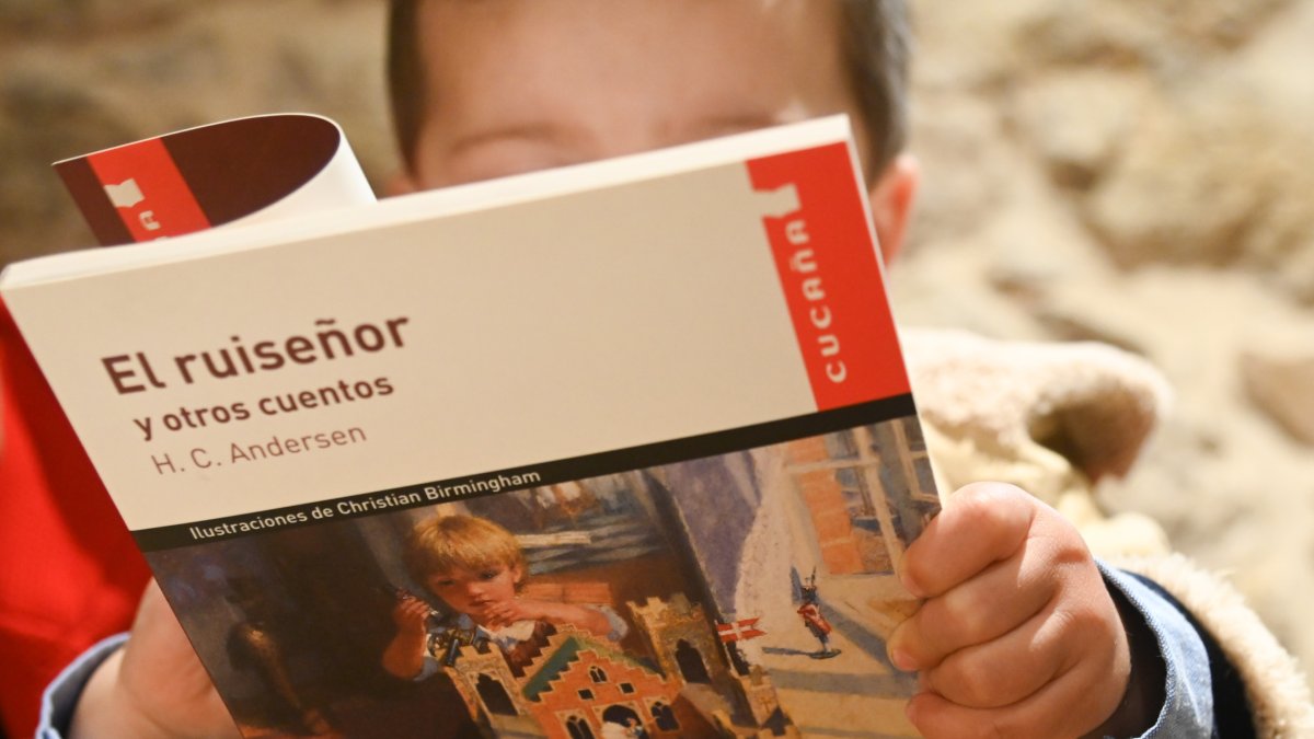 Un niño ojea uno de los cuentos de Andersen. ICAL