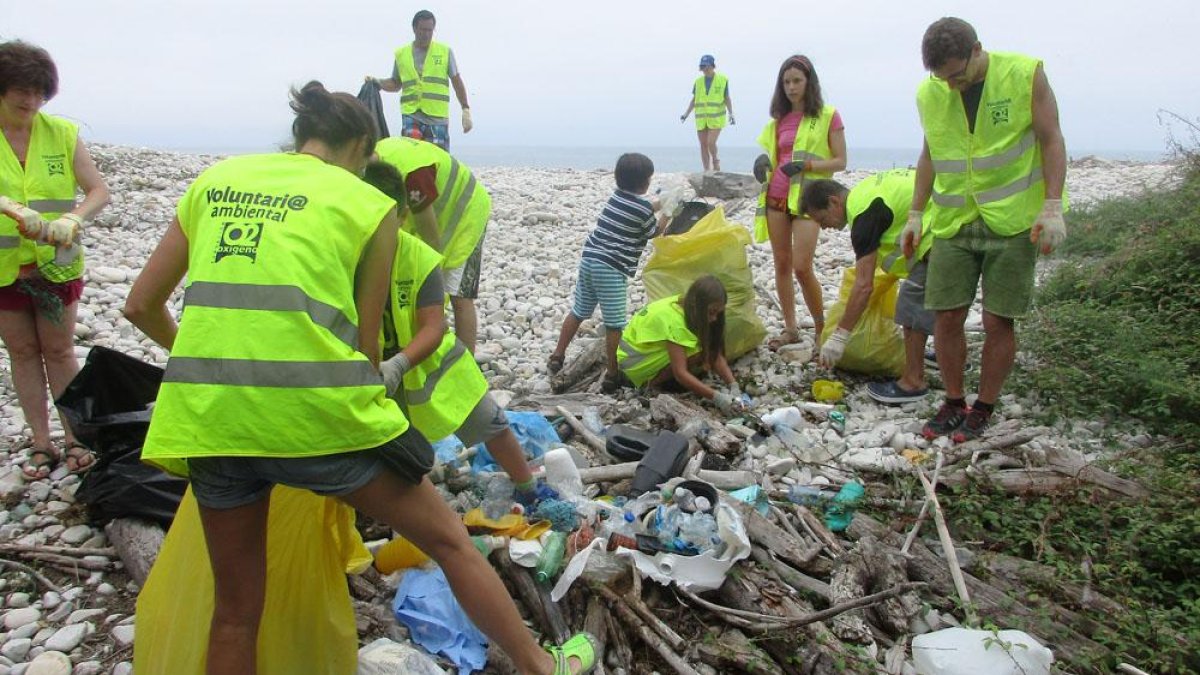 Voluntarios recogen restos en una playa de Vizcaya.-ECB