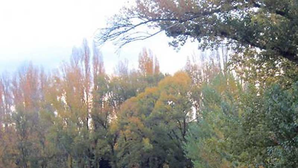 El terreno de la discordia en una imagen de archivo.-L.V.