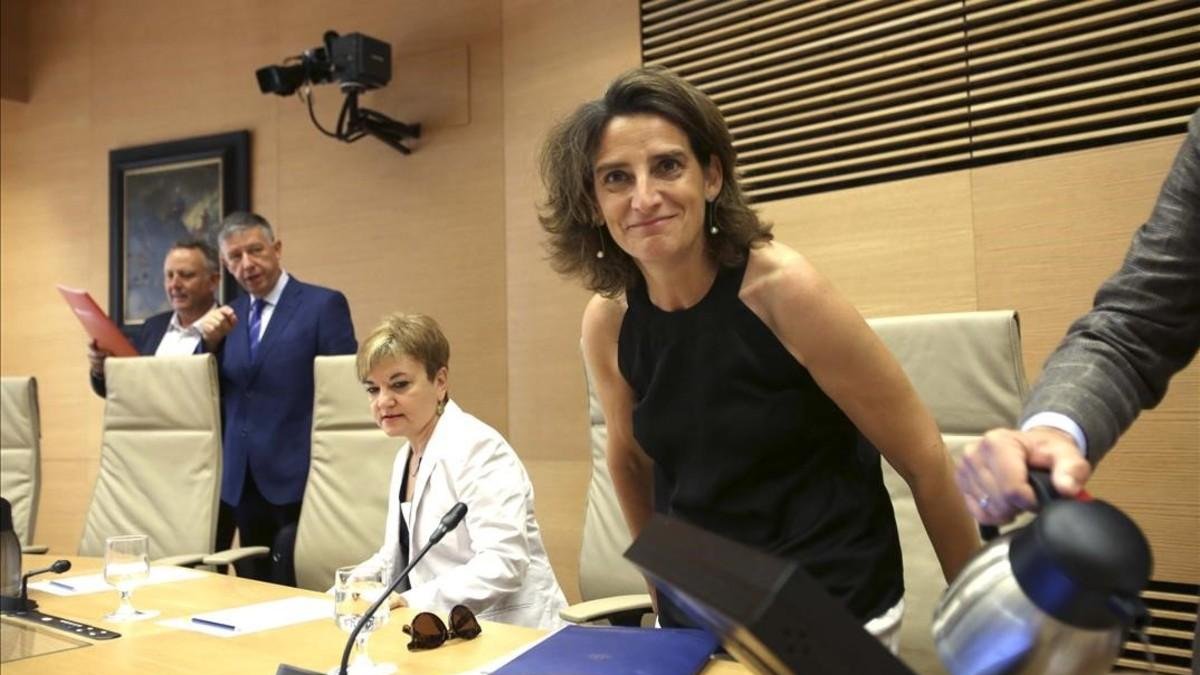 Teresa Ribera, ministra de Transición Ecológica.-DAVID CASTRO