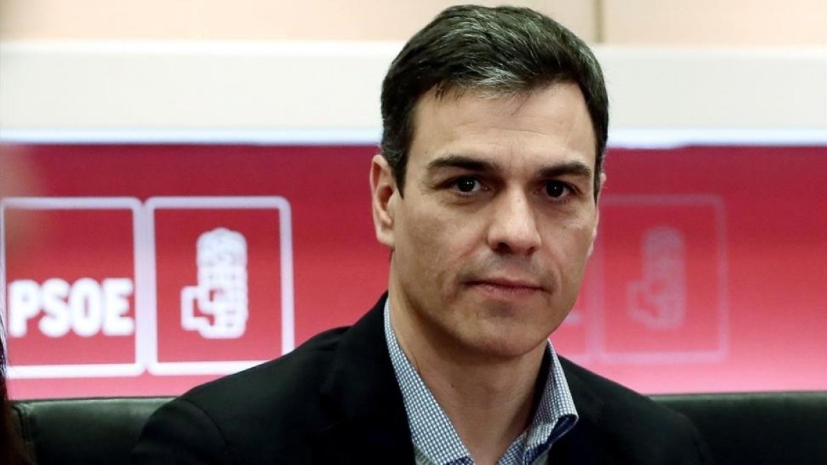 El secretario general del PSOE, Pedro Sánchez, en una reunión del partido.-MARISCAL (EFE)