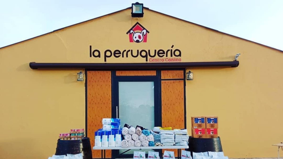 Imagen de parte de los donativos que han recibido
