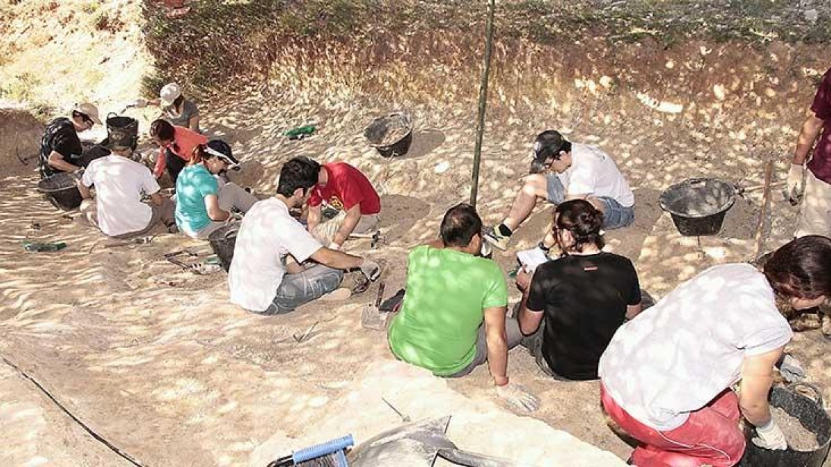 El equipo investigador cuenta con voluntarios de toda España que cursan o han finalizado estudios de Biología, Geología o Arqueología.-C.A.S.