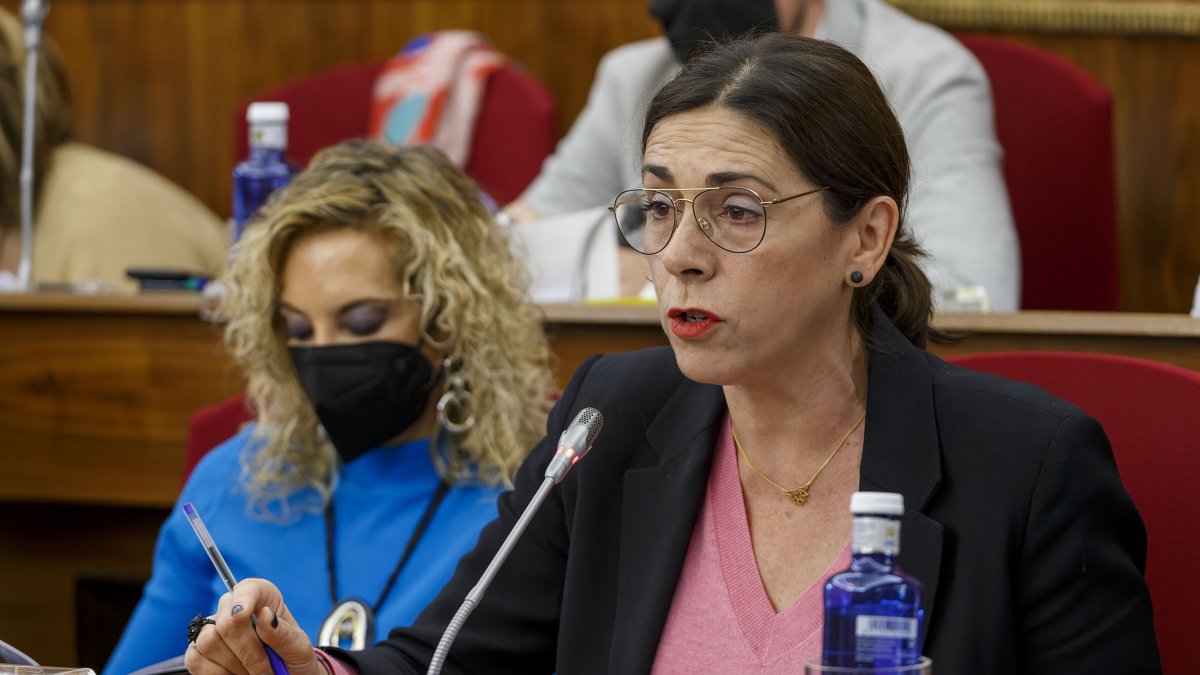 Marga Arroyo, portavoz de Podemos, en una intervención en el Pleno municipal. SANTI OTERO
