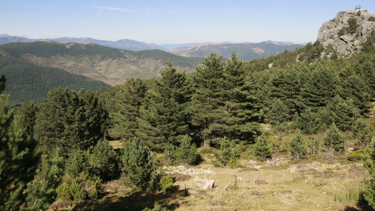 El PSOE lleva al Senado una moción para implantar ayudas económicas a la comarca de Pinares. ECB
