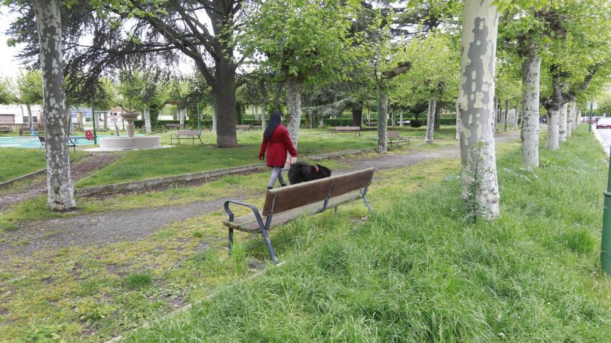 La falta de personal antes del relevo impidió realizar los trabajos habituales en esta época.-ISRAEL L. MURILLO