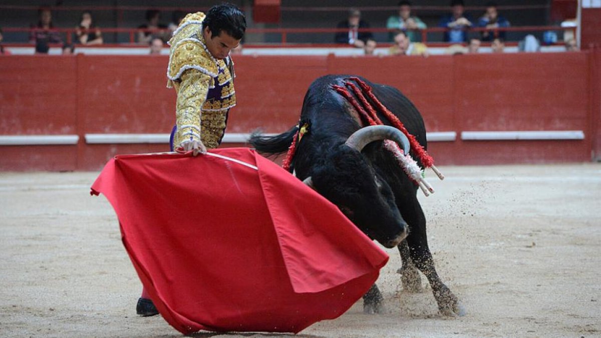 Morenito frente al toro de Victoriano del Río que indultó en Aranda en Septiembre.-ECB