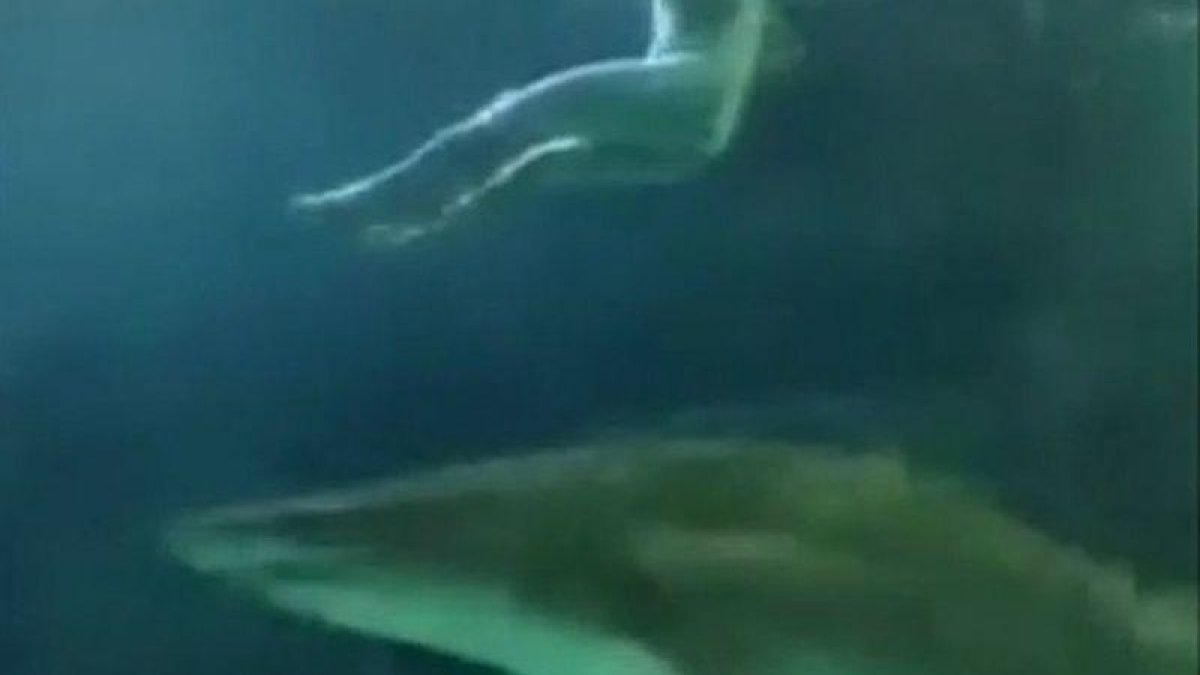Una de las imágenes del vídeo en al que se ve al hombre desnudo mientras los tiburones del Acuario de Toronto le pasan por debajo, el pasado viernes-EL PERIÓDICO