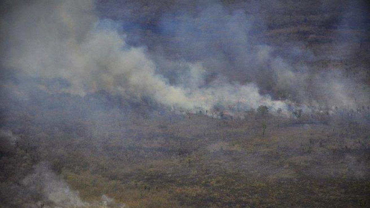 Los incendios forestales arrasan con miles de hectáreas de selva en Brasil.-EFE / SEN