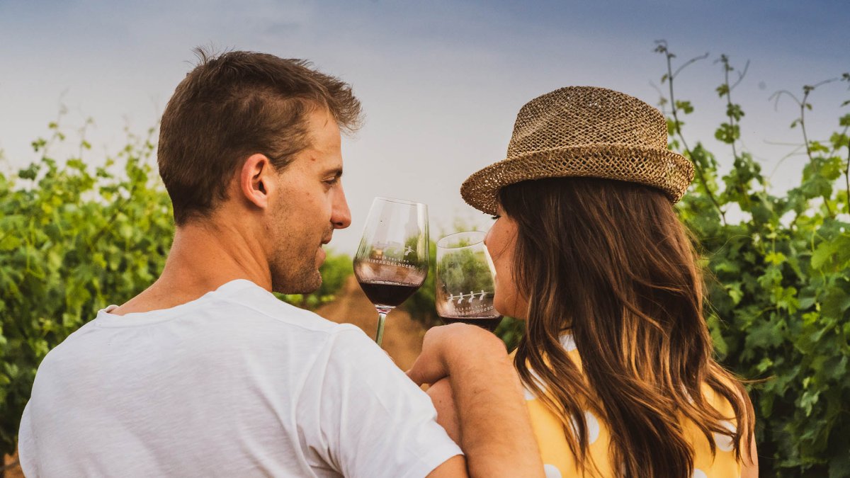 La Ruta del Vino Ribera se mantiene como la segunda más visitada