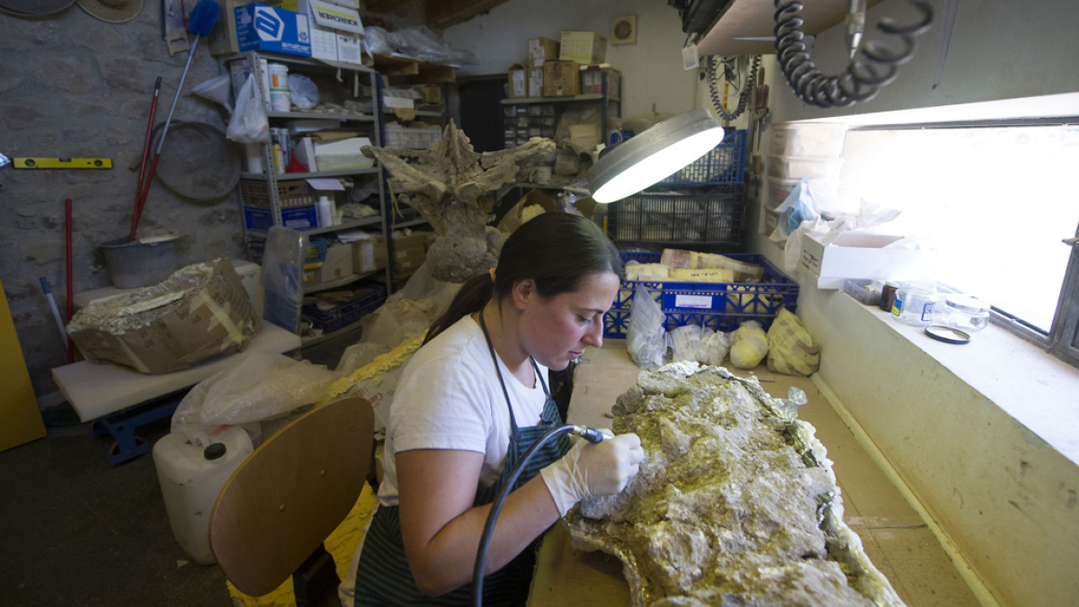 La restauradora del Museo de lso Dinosaurios trabaja en un área extremadamente limitada. ISRAEL L. MURILLO