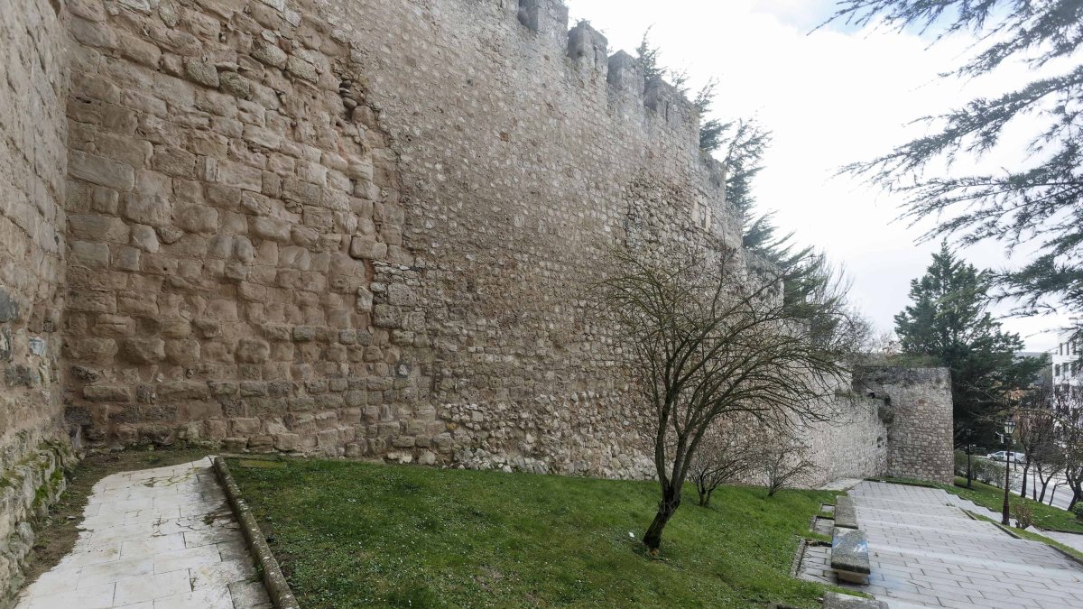 La muralla de Burgos en las inmediaciones del Arco de San Martín adolece de conservación. SANTI OTERO