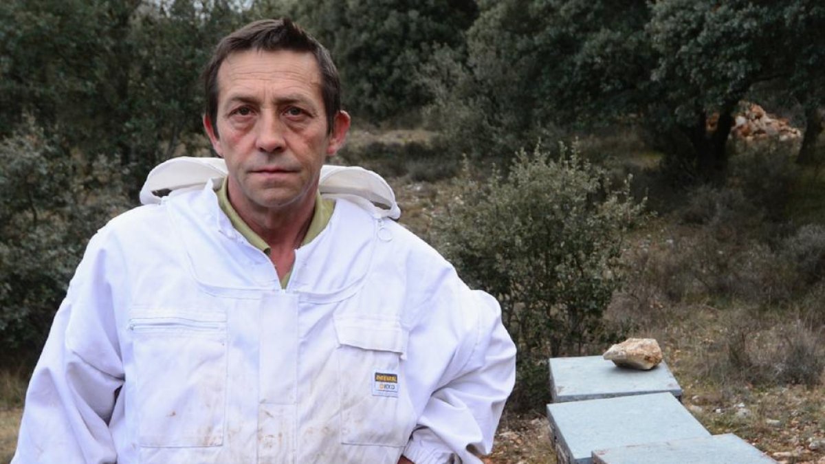 Vidal Cervero en las colmenas en la Sierra Santa Ana.-ÁLVARO MARTÍNEZ