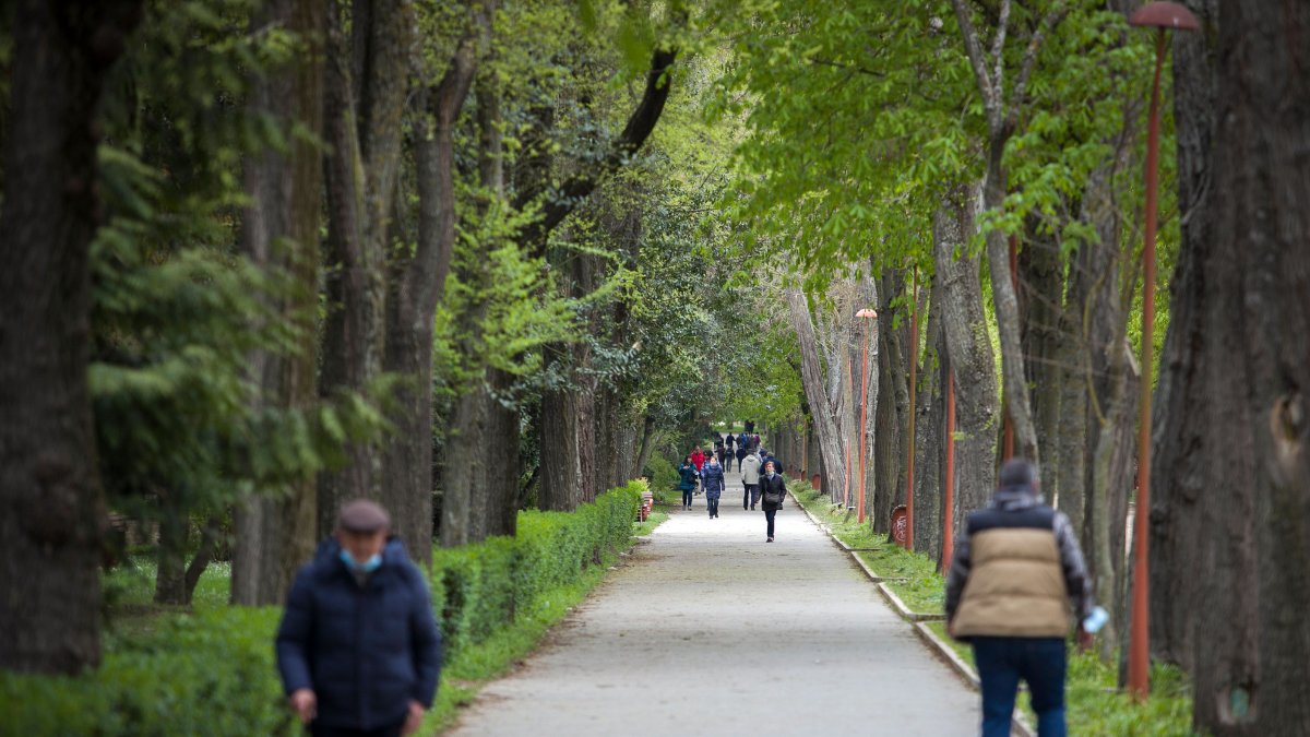 El Paseo de la Isla es uno de los espacios donde se replantarán algunos árboles. T.ALONSO