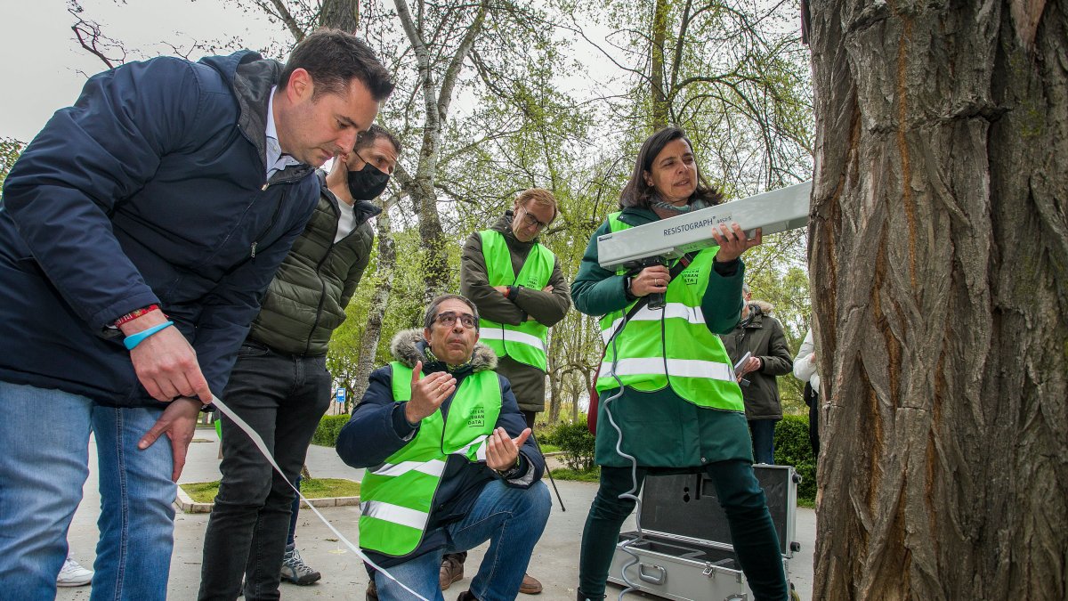 Los técnicos muestran cómo funciona el resistógrafo. TOMÁS ALONSO
