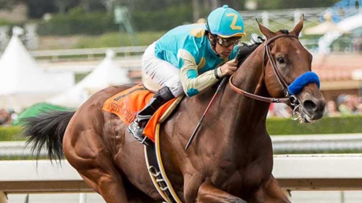 El purasangre American Pharoah.-