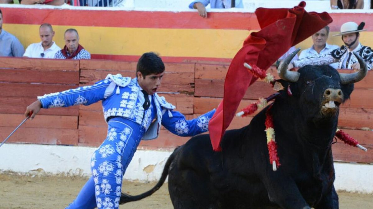 Novillo de Sánchez Arjona lidiado en Roa. En 2015 ha aumentado el número de utreros jugados.-ALBERTO CALVO