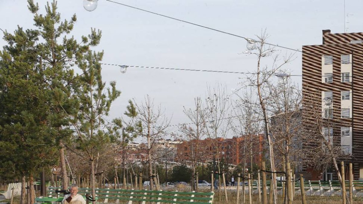 Esta zona ajardinada del bulevar presentaba ayer este aspecto con árboles y césped secos.-RAÚL G. OCHOA