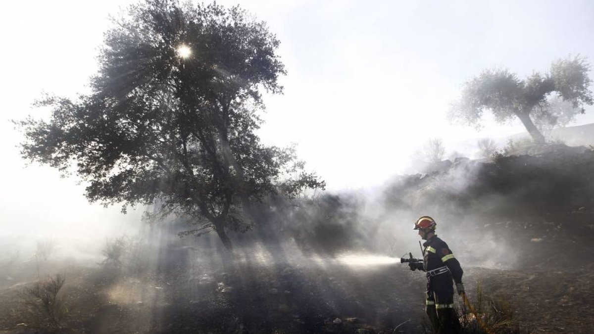 Medios terrestres y aéreos trabajan en un incendio en un Fuentes de Oñoro-Ical