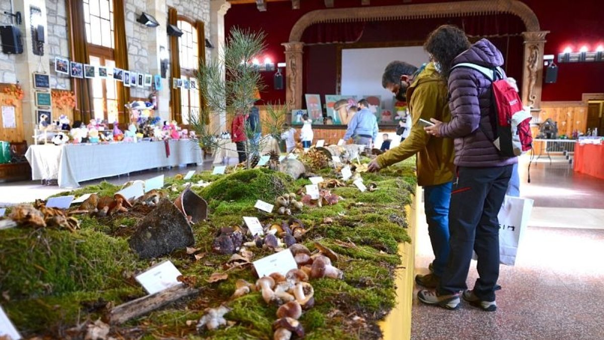 Micología y gastronomía se fusionan en Quintanar de la Sierra. R. FERNÁNDEZ