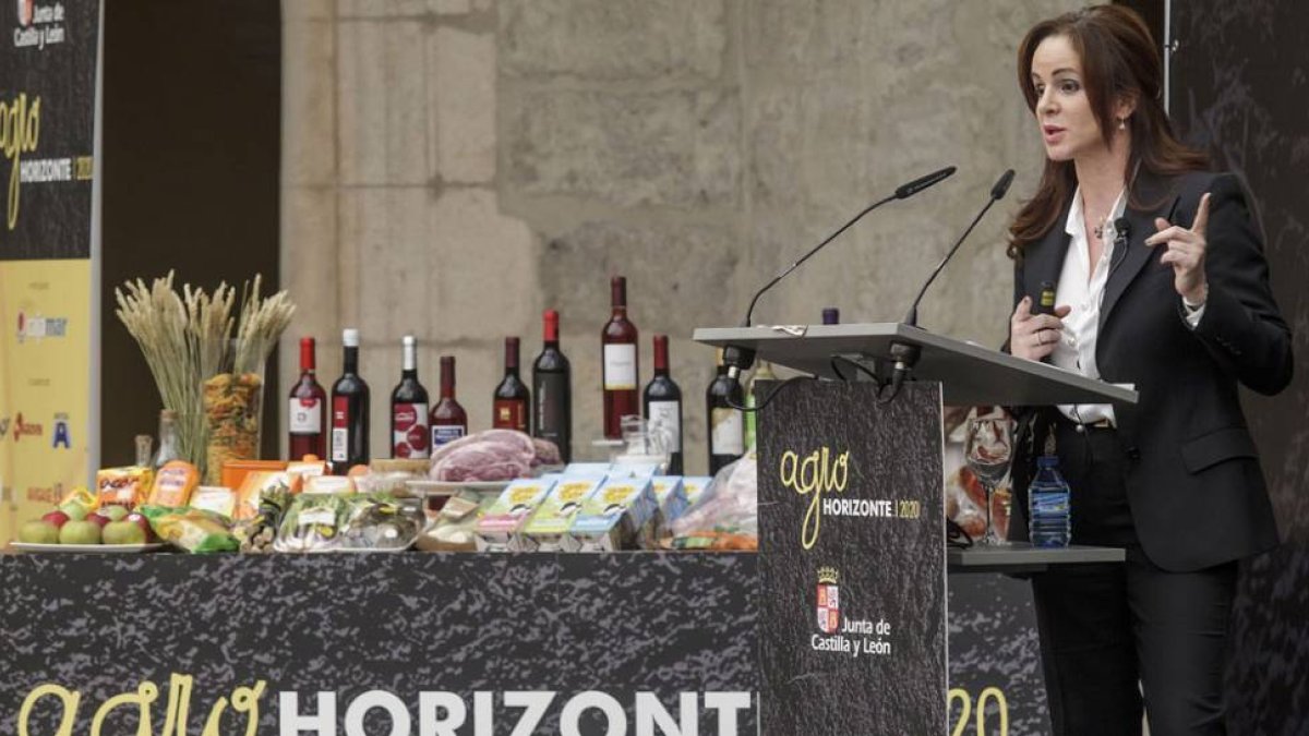 La consejera de Agricultura y Ganadería, Silvia Clemente, expuso las conclusiones y objetivos de Agrohorizonte 2020.-SANTI OTERO
