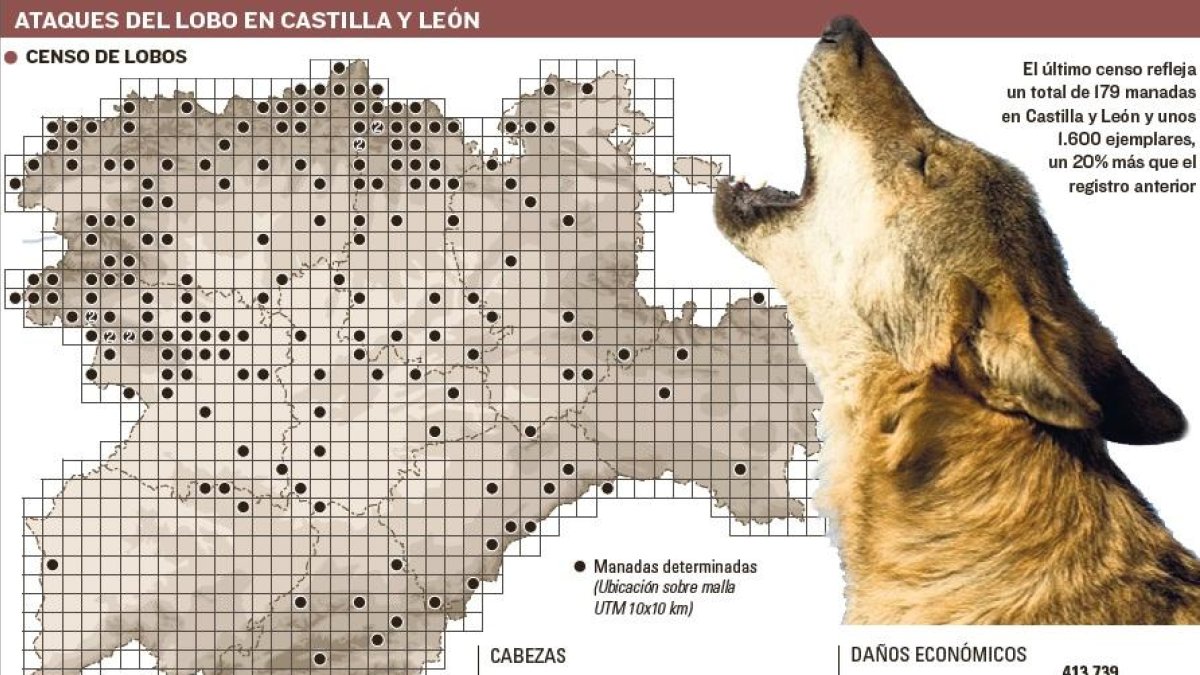 Ataques del lobo en Castilla y León.-EL MUNDO DE CASTILLA Y LEÓN