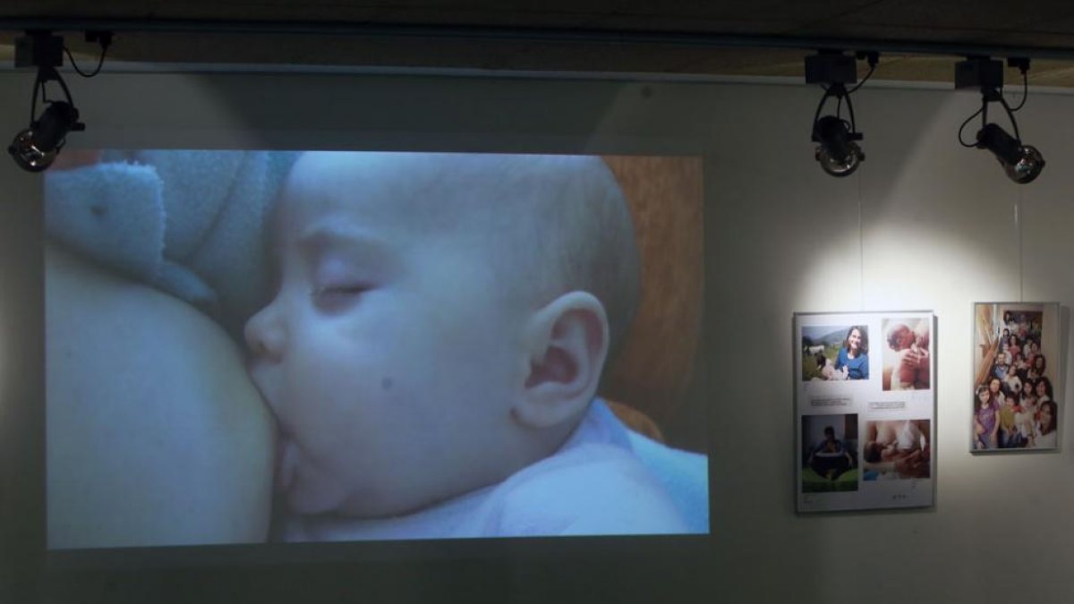 Un proyector muestra una sucesión de instantáneas que reflejan con fidelidad el milagro de la vida.-RAÚL G. OCHOA