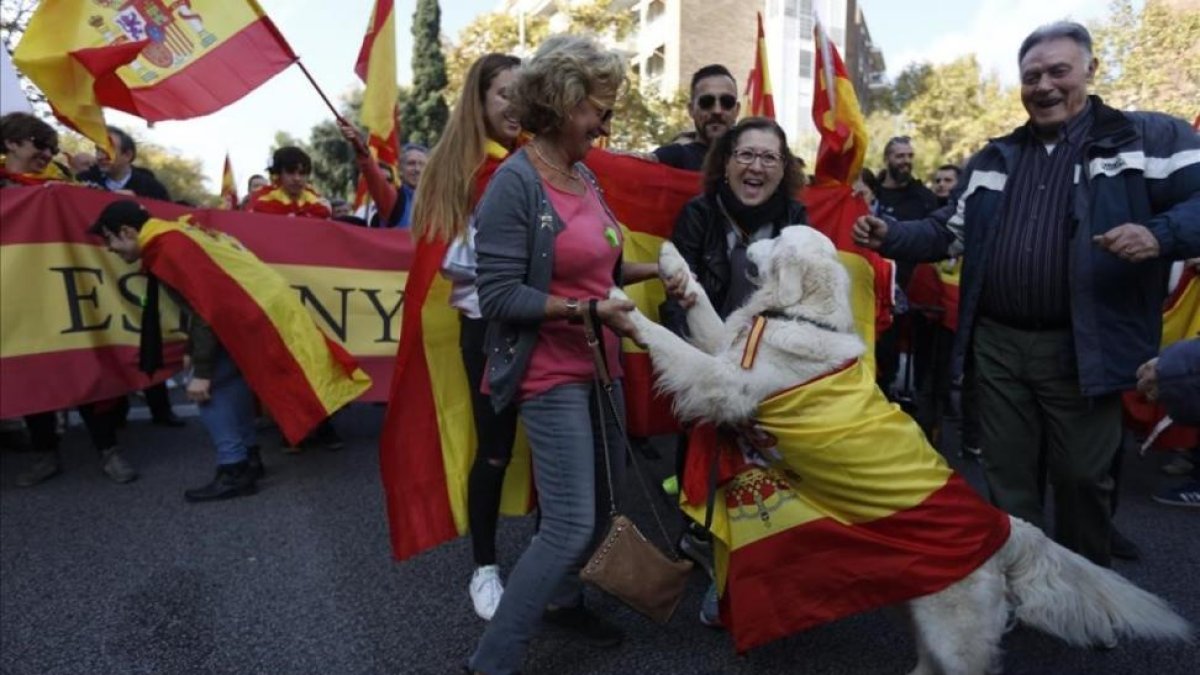 Manifestación a favor de la unidad de España en Barcelona.-ALBERT BERTRAN