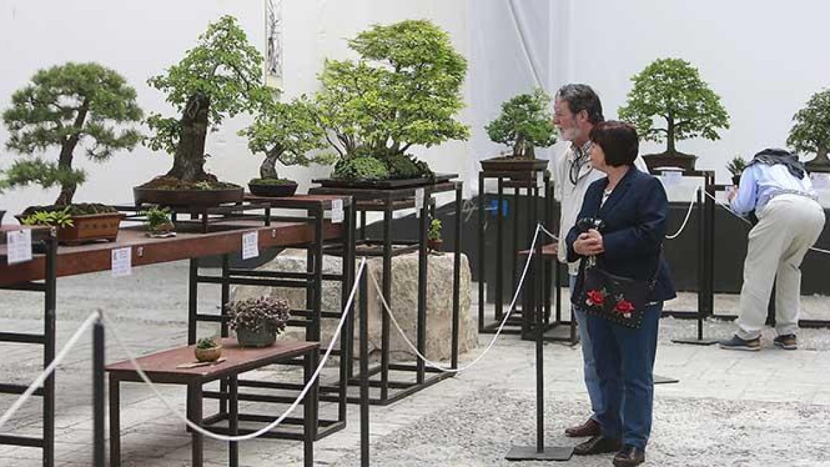 Algunos visitantes dedican varios minutos a contemplar las maravillas expuestas.-RAÚL G. OCHOA